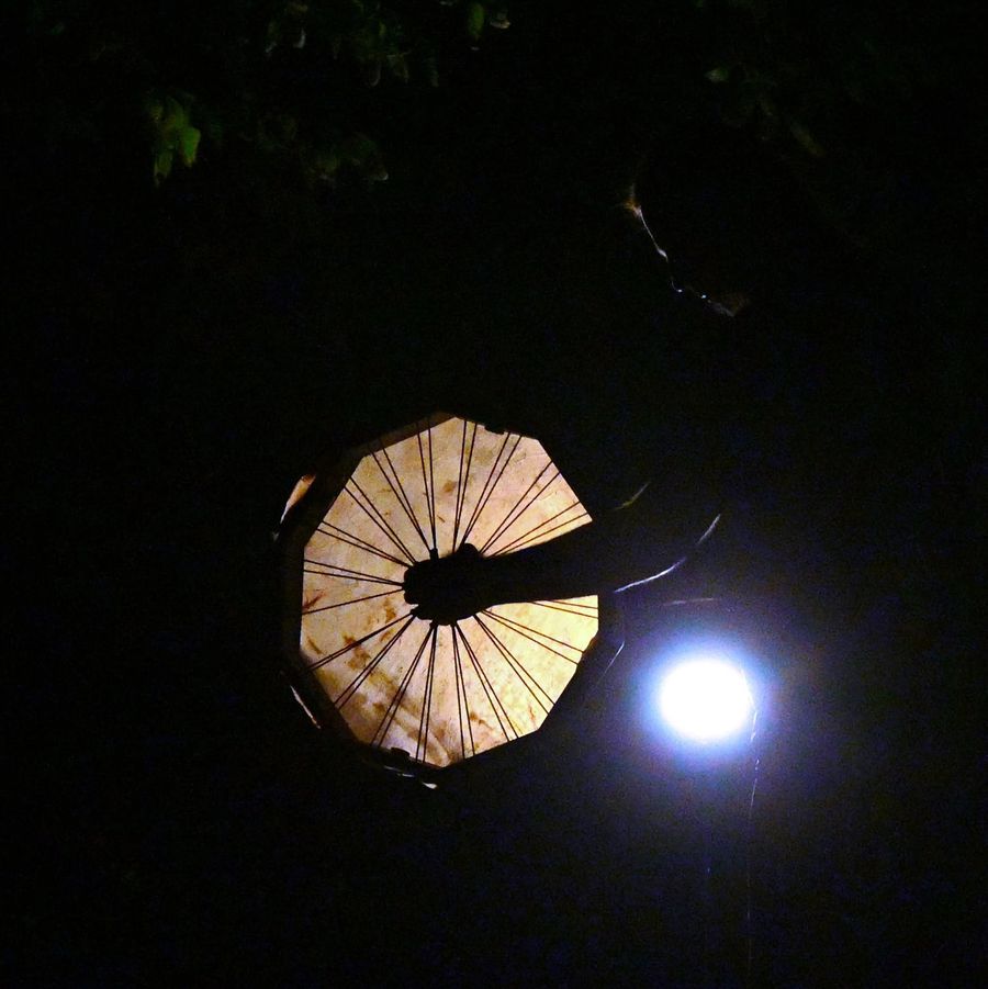 Tivat World Music Festival